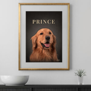 Classic Framed